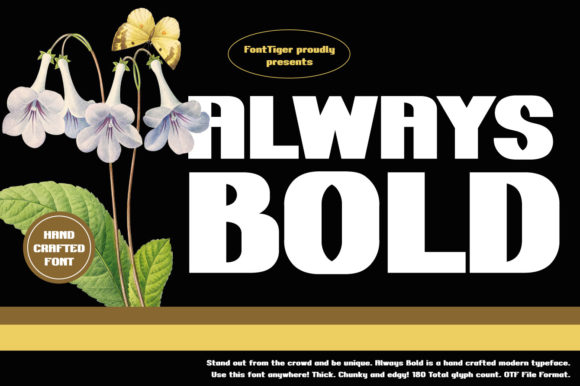 Always Bold: A Typeface for Making a Statement